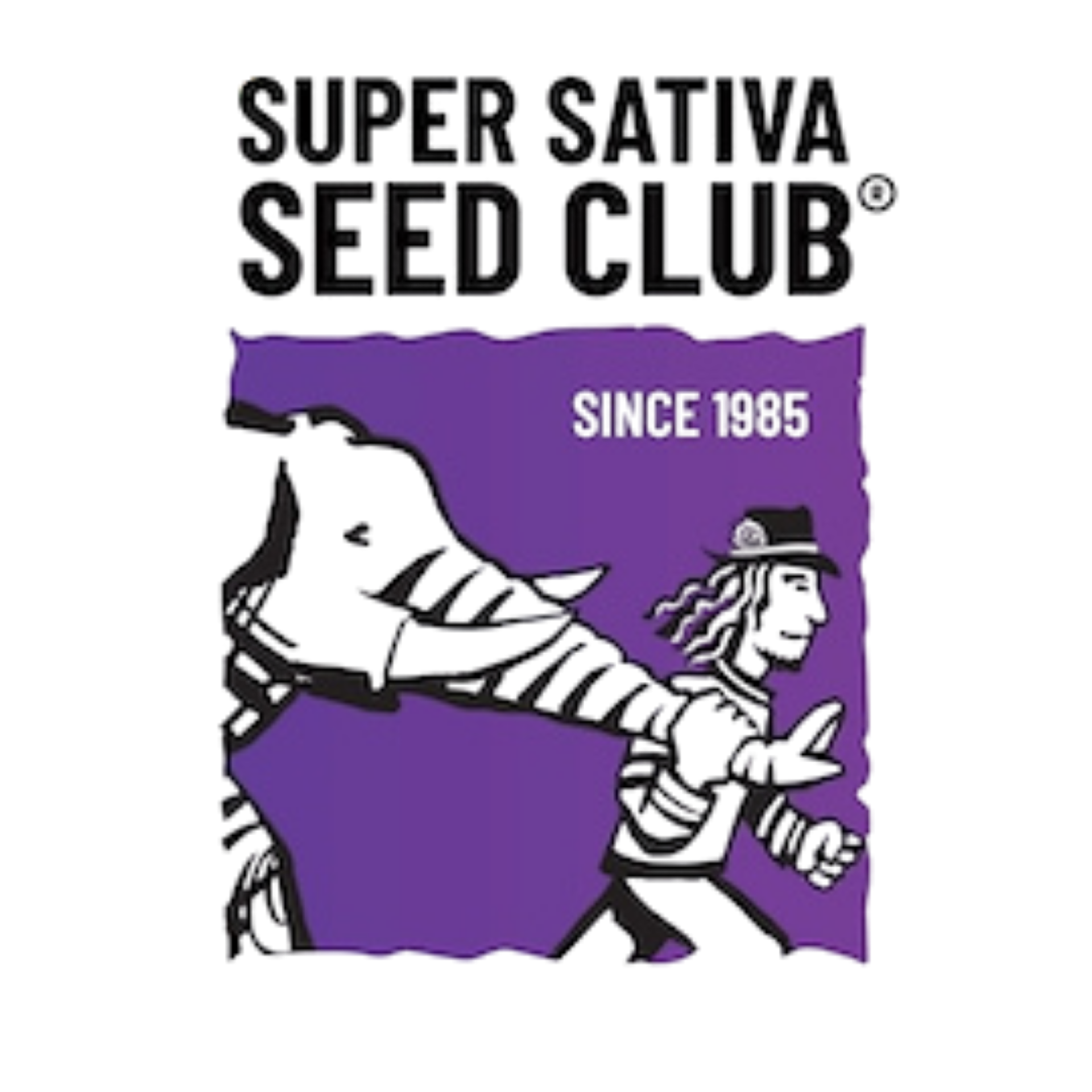 Super Sativa Seed Club