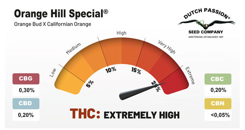 ORANGE HILL SPECIAL